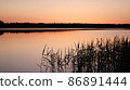 Water surface of the Lake and vegetation during sunset. 86891444