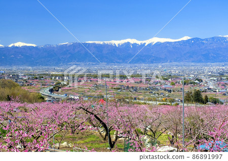 桃花盛開的甲府盆地 桃花盛開的甲府盆地 86891997