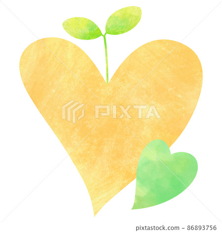 Sprouts from an orange heart Sprouts from an orange heart 86893756