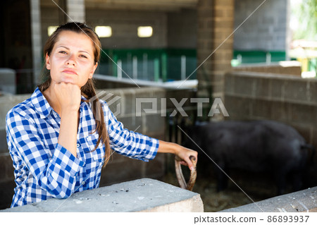 Portrait of female farmer feeding iberian pigs on farm 86893937