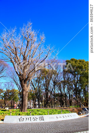 名古屋市白川公園風景 名古屋市白川公園風景 86894627