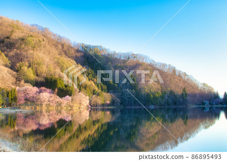 Yoh Yamazakura of Lake Nakanishi Yoh Yamazakura of Lake Nakanishi 86895493