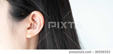 Close up of female ear in black hair over white background. Copy space. 86896563