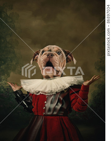 Surprised model like medieval royalty person in vintage clothing headed by dog head isolated on dark vintage background. Concept of comparison of eras, artwork. Surrealism 86897034