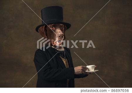 Gentleman. 5 o'clock. Contemporary art collage. Idea, aspiration, imagination. Male model headed by dog head isolated on vintage background. Surrealism, fashion, style 86897036