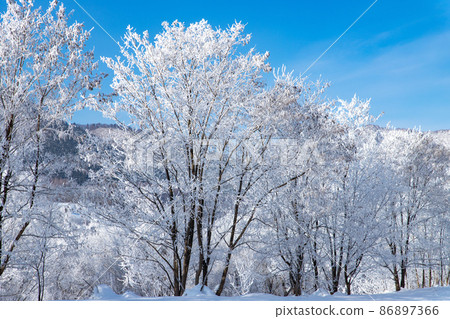 Hokkaido winter landscape, rime on Furano city 86897366