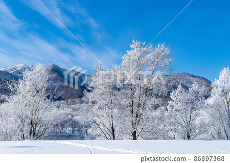 Hokkaido winter landscape, rime on Furano city 86897368