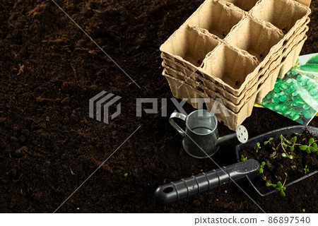 Seeds, gardener prepares the seedlings.Gardener sows seeds are watered and cares sown into pots of peat Seeds, gardener prepares the seedlings.Gardener sows seeds are watered and cares sown into pots of peat 86897540