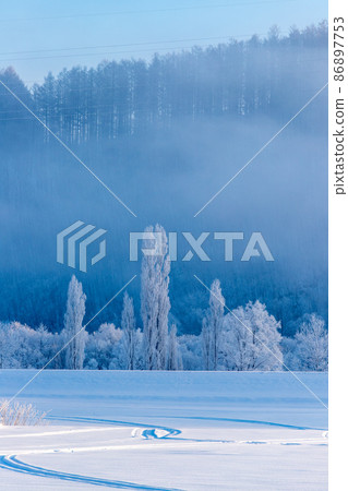 Hokkaido winter landscape, rime on Furano city Hokkaido winter landscape, rime on Furano city 86897753