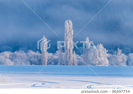 Hokkaido winter landscape, rime on Furano city Hokkaido winter landscape, rime on Furano city 86897754