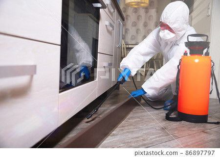 An exterminator in work clothes sprays pesticides with a spray gun. Fight against insects in apartments and houses. Disinsection of the premises An exterminator in work clothes sprays pesticides with a spray gun. Fight against insects in apartments and houses. Disinsection of the premises 86897797