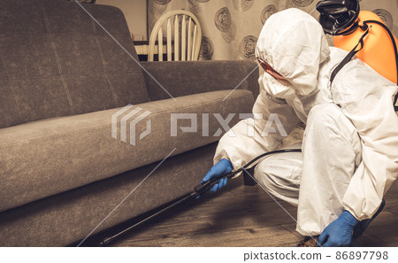 An exterminator in work clothes sprays pesticides with a spray gun. Fight against insects in apartments and houses. Disinsection of the premises An exterminator in work clothes sprays pesticides with a spray gun. Fight against insects in apartments and houses. Disinsection of the premises 86897798