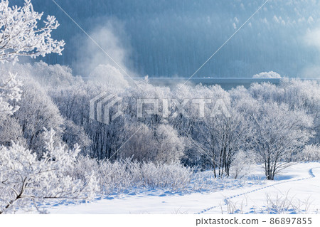 Hokkaido winter landscape, rime on Furano city 86897855