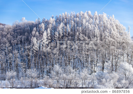Hokkaido winter landscape, rime on Furano city 86897856