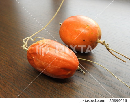 花椰菜的果實 86899016