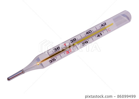 Thermometer 86899499
