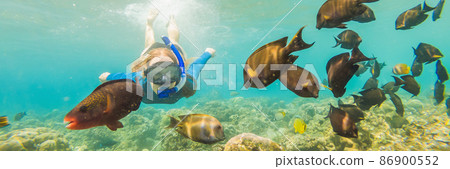 Happy woman in snorkeling mask dive underwater with tropical fishes in coral reef sea pool. Travel lifestyle, water sport outdoor adventure, swimming lessons on summer beach holiday BANNER, LONG 86900552