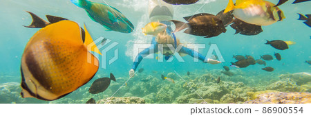 Happy woman in snorkeling mask dive underwater with tropical fishes in coral reef sea pool. Travel lifestyle, water sport outdoor adventure, swimming lessons on summer beach holiday BANNER, LONG 86900554