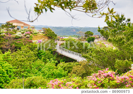 Azalea Festival Azalea Festival 86900973