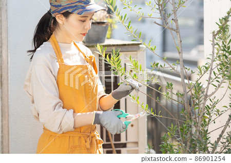 Female painting the wall Female painting the wall 86901254