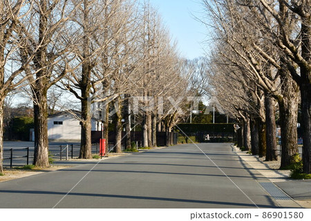 Jingu Factory in Winter Jingu Factory in Winter 86901580