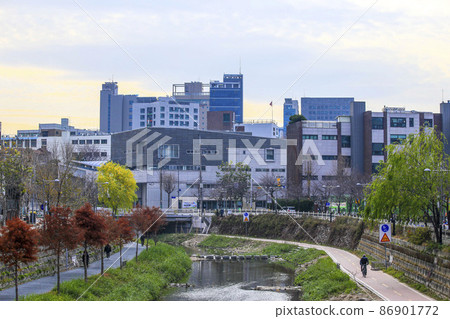 城北川溪流散步道風景 城北川溪流散步道風景 86901772