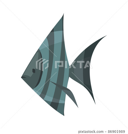 Tropical Angelfish Diving Composition 86901989