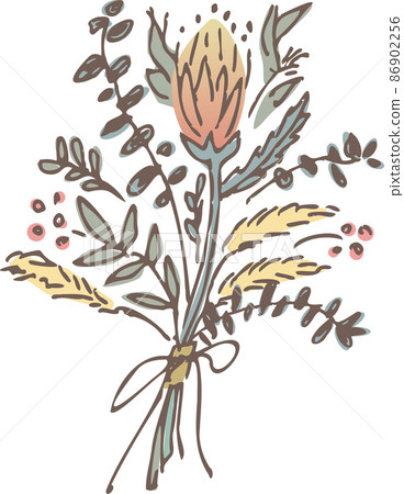 手繪乾花（無包裝） 86902256