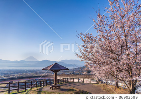 （山梨縣）十日京公園環狀橋櫻花和富士山 86902599