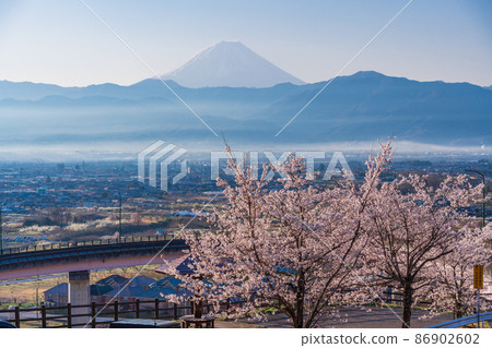 (山梨縣)十日京公園環狀橋櫻花和富士山 (山梨縣)十日京公園環狀橋櫻花和富士山 86902602