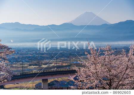 (山梨縣)十日京公園環狀橋櫻花和富士山 (山梨縣)十日京公園環狀橋櫻花和富士山 86902603