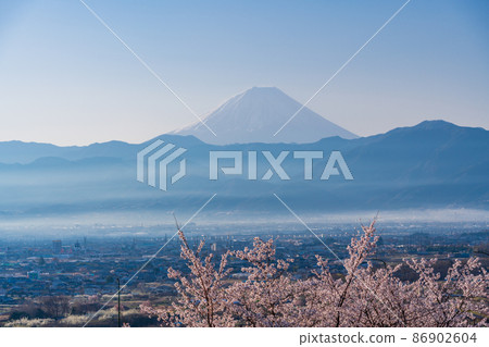 (山梨縣)十日京公園環狀橋櫻花和富士山 (山梨縣)十日京公園環狀橋櫻花和富士山 86902604
