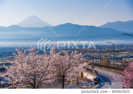 (山梨縣)十日京公園環狀橋櫻花和富士山 (山梨縣)十日京公園環狀橋櫻花和富士山 86902605