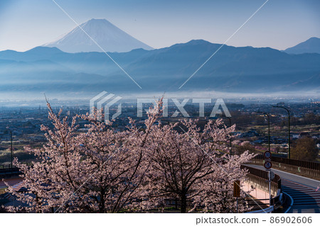 (山梨縣)十日京公園環狀橋櫻花和富士山 (山梨縣)十日京公園環狀橋櫻花和富士山 86902606