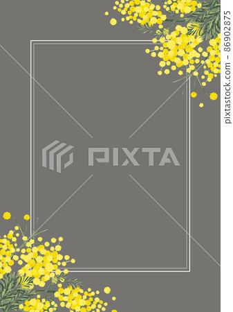 Mimosa acacia swag background material floral pattern handwritten illustration spring image retro Scandinavian design 86902875