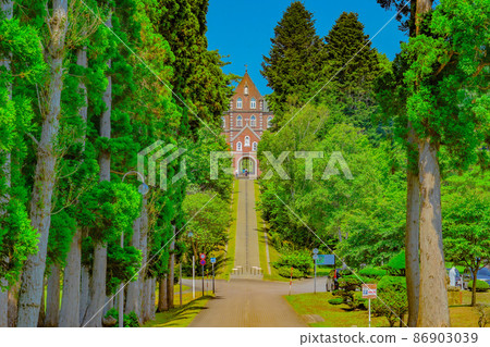 Trappist monastery and tree-lined cedar road Trappist monastery and tree-lined cedar road 86903039