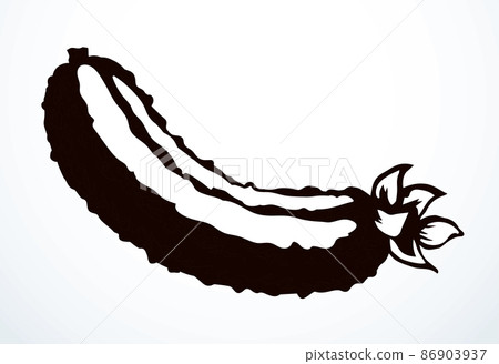 Small green cucumber. Vector drawing Small green cucumber. Vector drawing 86903937