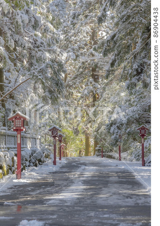 箱根神社入口處的箱根町 3 杉並樹的冬景 箱根神社入口處的箱根町 3 杉並樹的冬景 86904438