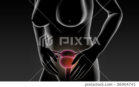 x-ray body female body use hand touches area womb x-ray body female body use hand touches area womb 86904741
