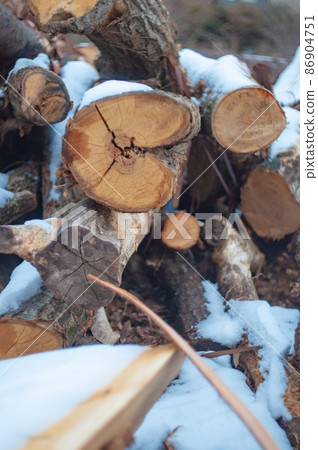 Logs with snow Logs with snow 86904751