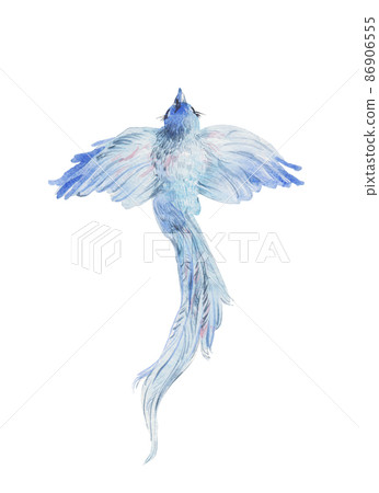 Blue birld flying watercolor painted illustration isolated on white 86906555
