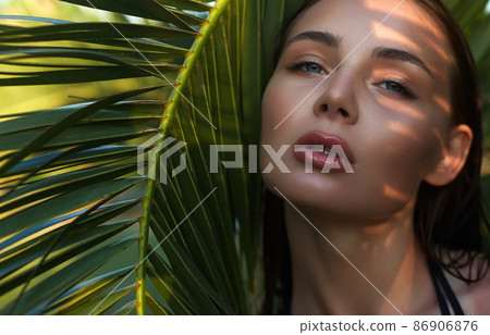 beautiful summer girl in sunset. young sexy woman under palm tree 86906876