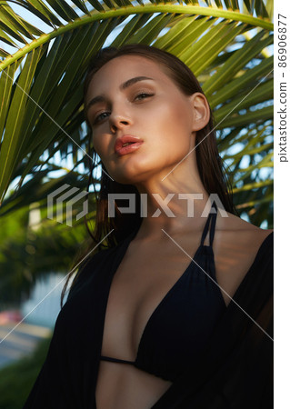 beautiful summer girl in sunset. young sexy woman under palm tree beautiful summer girl in sunset. young sexy woman under palm tree 86906877