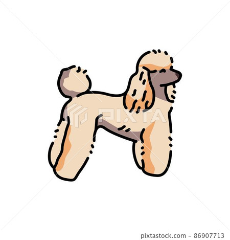 Poodle color line icon. Dog breed. 86907713
