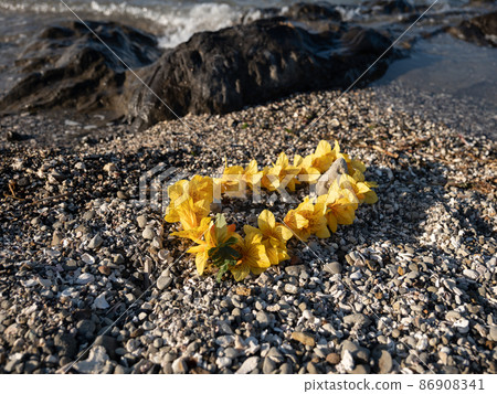 Background material Yellow flower lei Ladance aloha Travel outside Background material Yellow flower lei Ladance aloha Travel outside 86908341