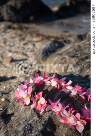 Aloha Hula Dance Hawaiian Lei Sandy Beach 86908697
