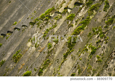 Green moss and algae on slate roof tiles. Texture background. Old slate covered with islands of green moss. Green moss and algae on slate roof tiles. Texture background. Old slate covered with islands of green moss. 86909770
