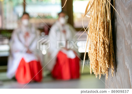 Shizuoka Gokoku Shrine Shizuoka City Shizuoka Gokoku Shrine Shizuoka City 86909837