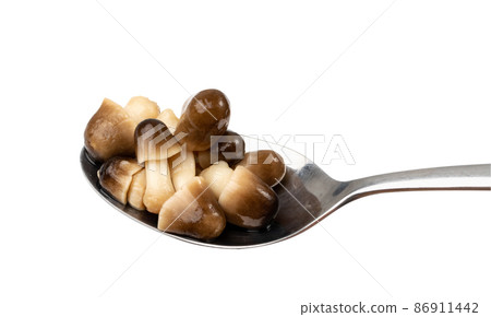 Pickled Straw Mushrooms Isolated Pickled Straw Mushrooms Isolated 86911442