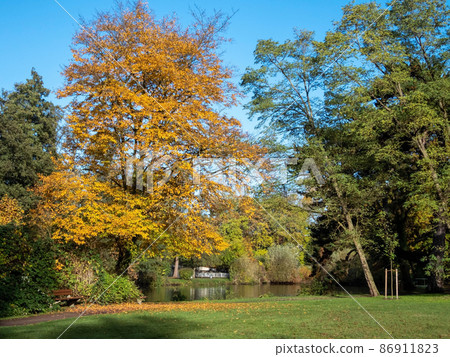 Autumn Leafs 86911823